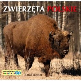 Zwierzęta polskie